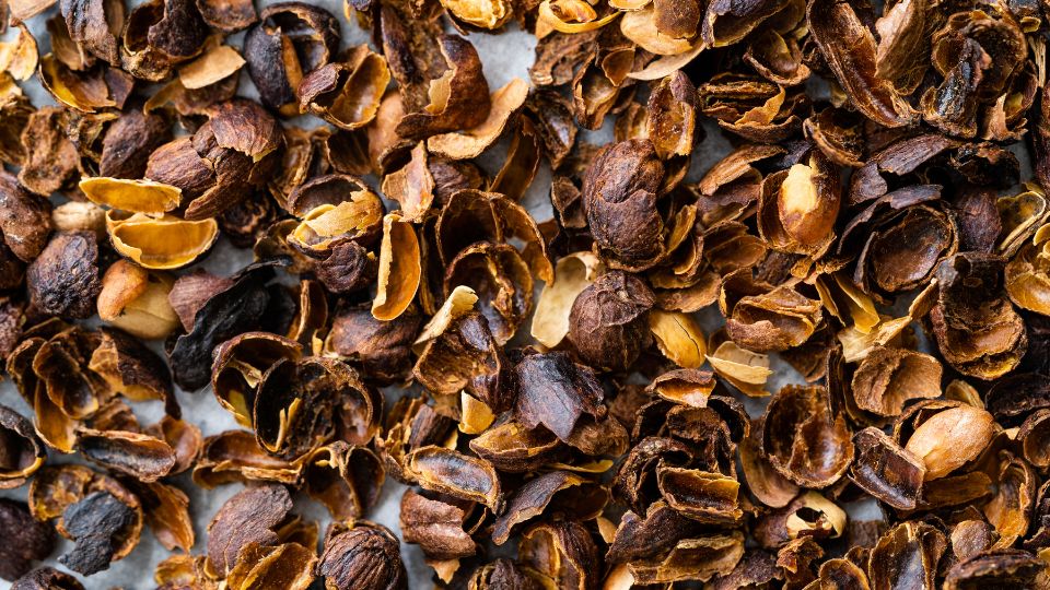 cascara